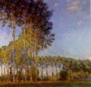 Claude Monet Poplars on the banks of the River Epte china oil painting artist